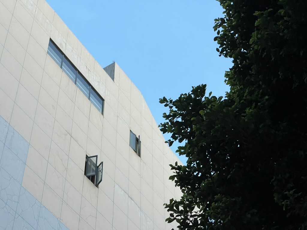 BA29B2DC-C5E5-48F6-82DB-B27DD7A62557_1_105_c.jpeg